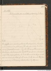 Seite 89, Tagebuch "Palästina (Tagebuch)" (NHMW-PRAE-BBB-80)